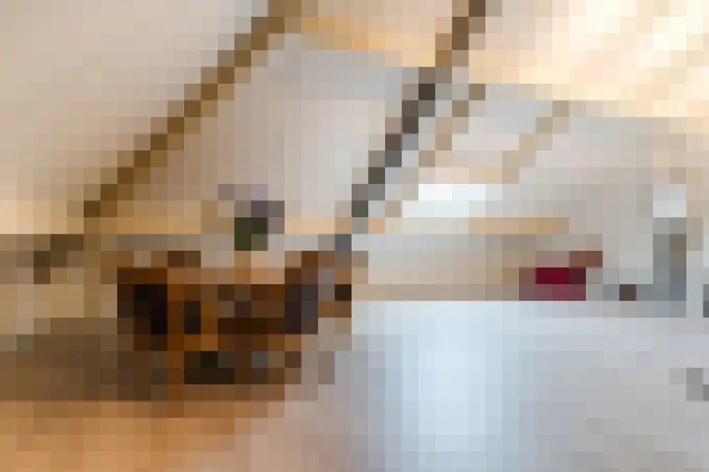 Bosdammen 2 Ammerzoden thumbnail 34