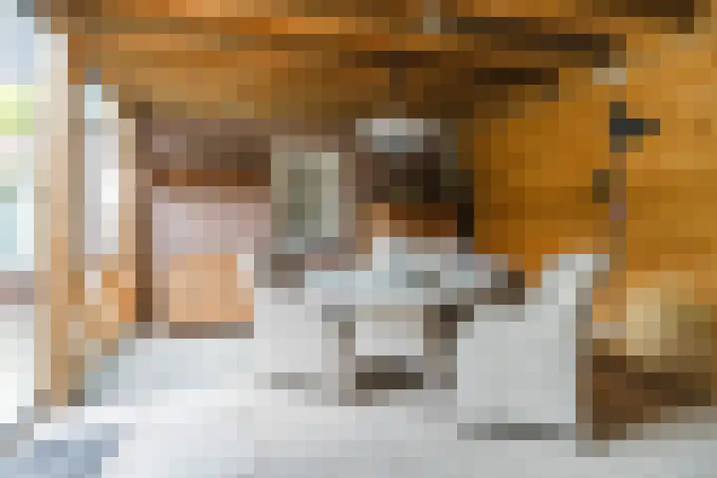 Bosdammen 2 Ammerzoden thumbnail 4
