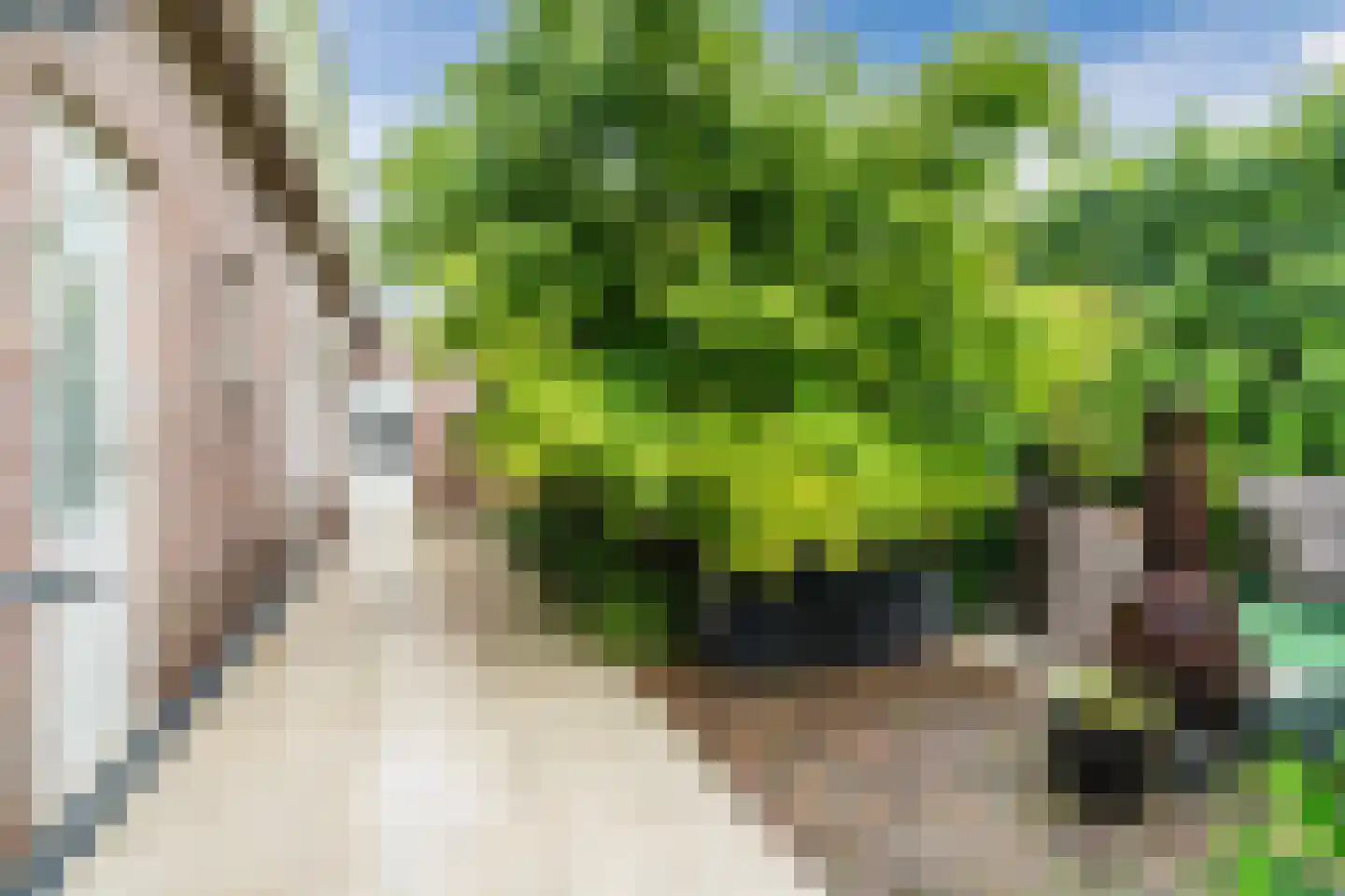 Bosdammen 2 Ammerzoden thumbnail 48