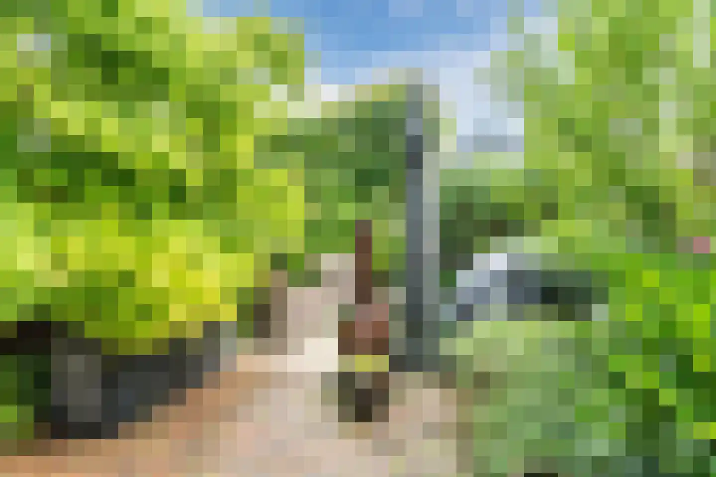 Bosdammen 2 Ammerzoden thumbnail 49