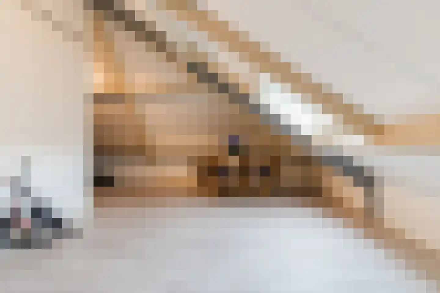 Bosdammen 2 Ammerzoden thumbnail 5