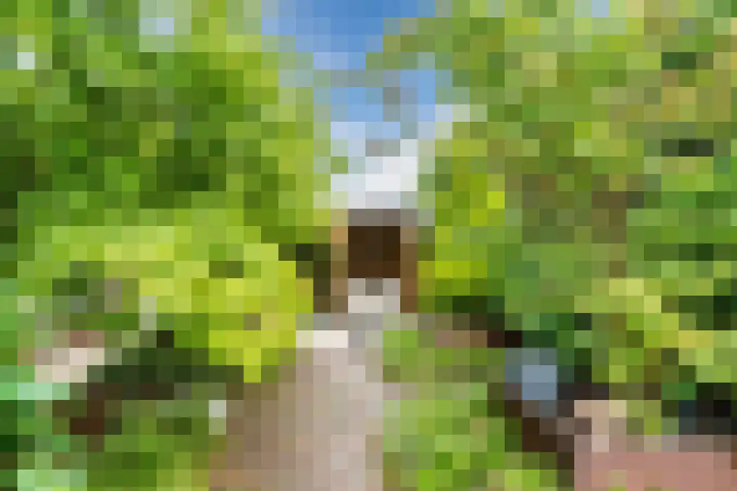 Bosdammen 2 Ammerzoden thumbnail 50