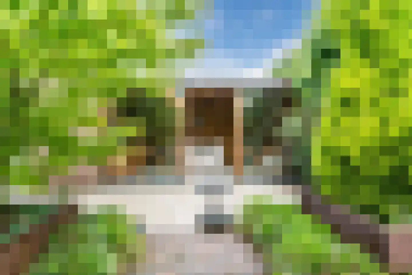 Bosdammen 2 Ammerzoden thumbnail 51