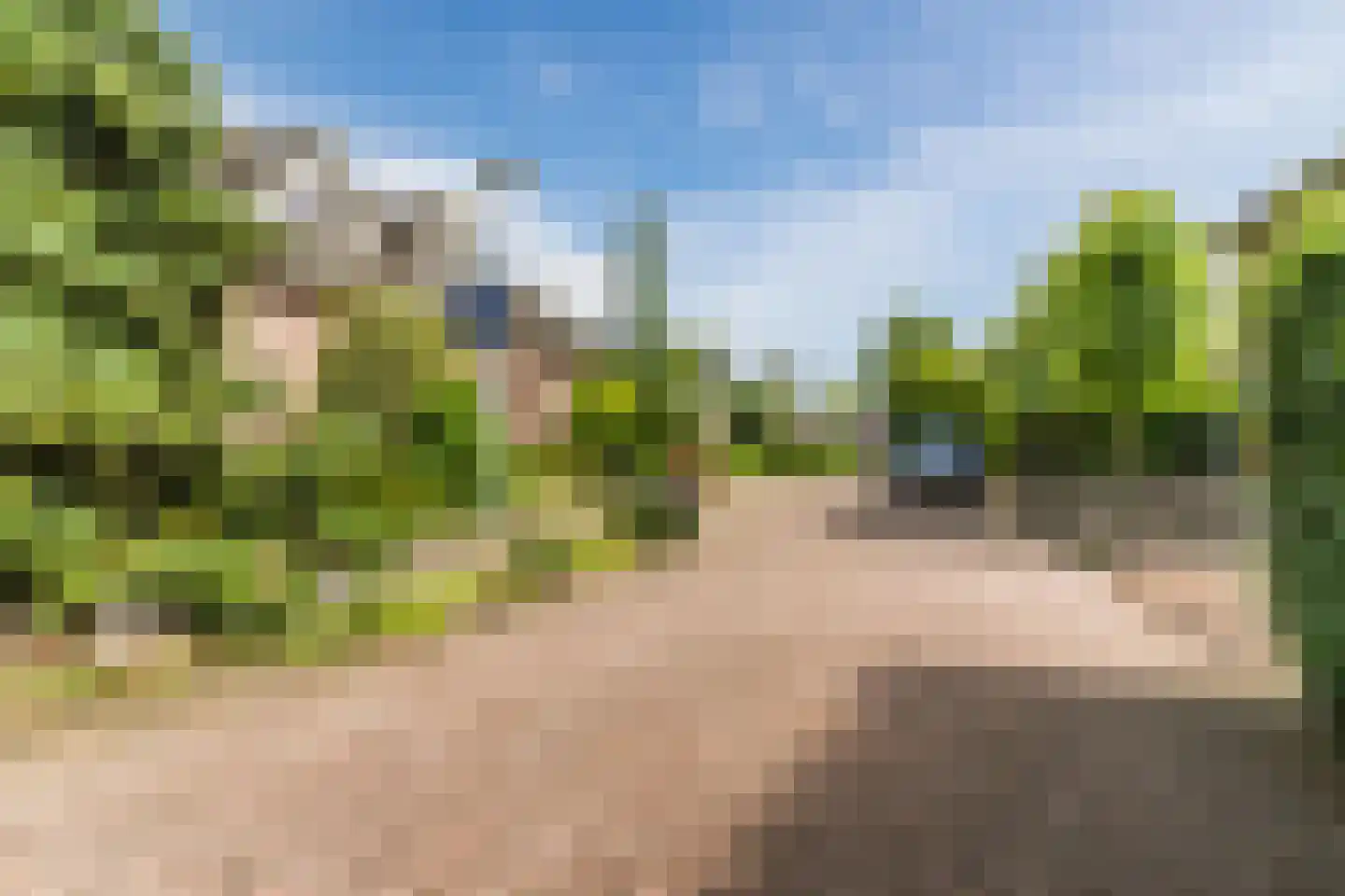 Bosdammen 2 Ammerzoden thumbnail 56