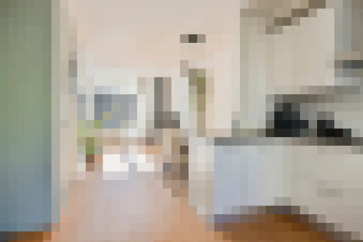 Bosdijklaan 13 Goes thumbnail 14