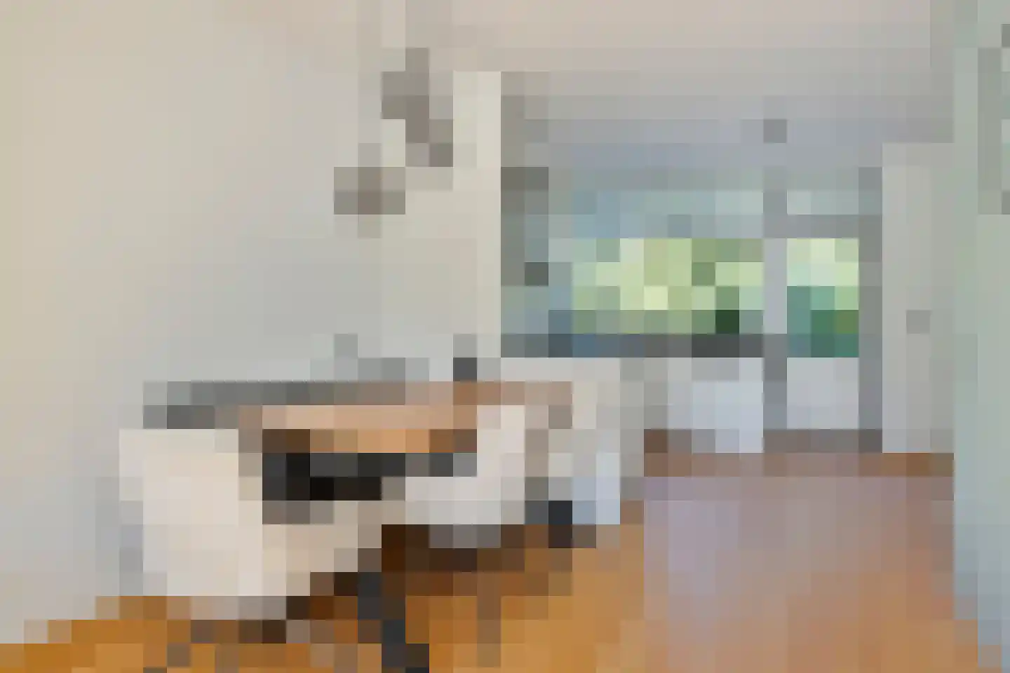 Bosdijklaan 13 Goes thumbnail 15