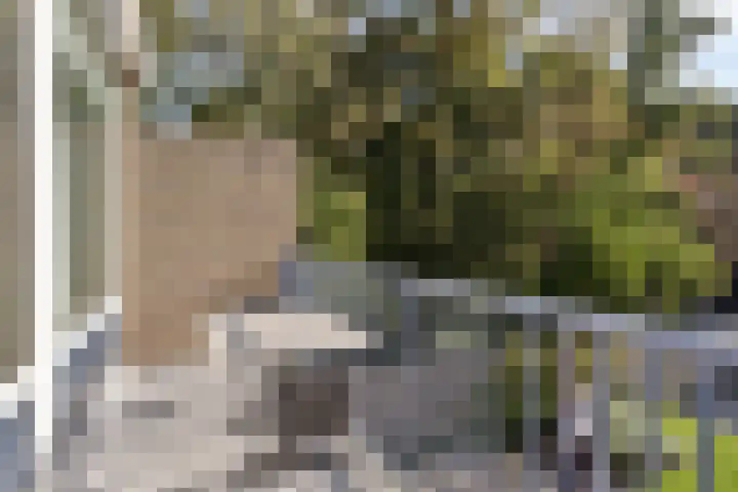 Bosdijklaan 13 Goes thumbnail 18