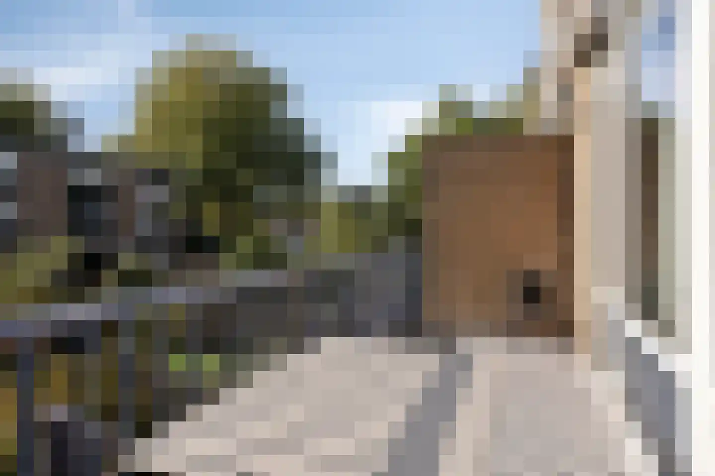 Bosdijklaan 13 Goes thumbnail 19