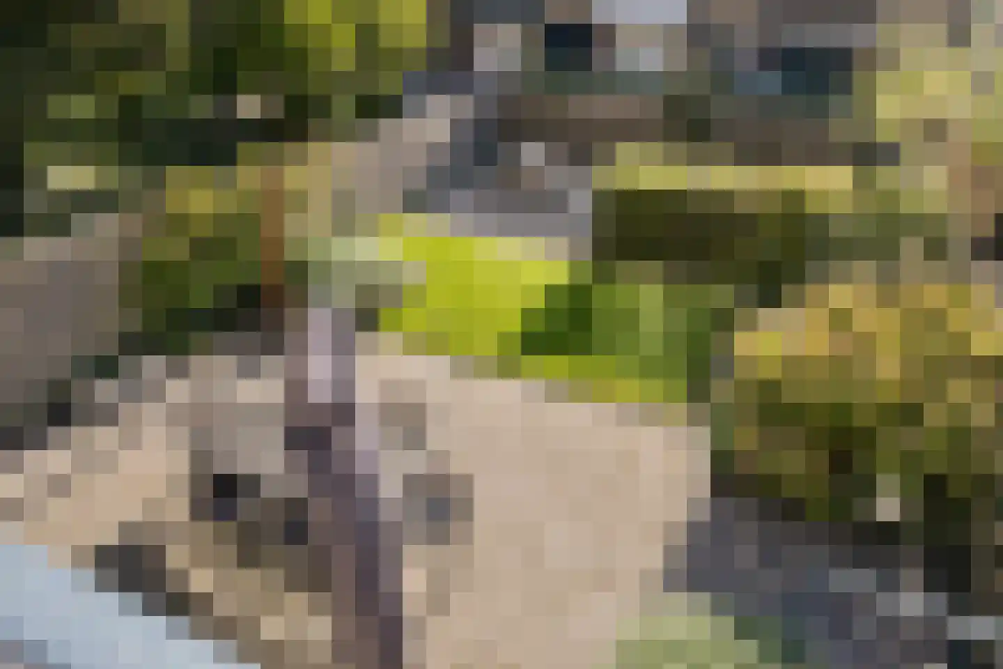 Bosdijklaan 13 Goes thumbnail 20