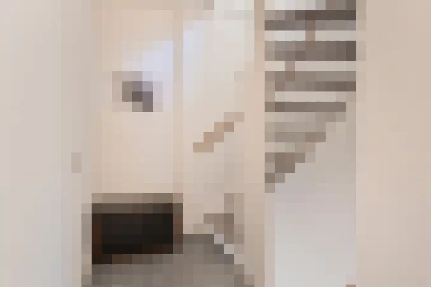 Bosdijklaan 13 Goes thumbnail 21
