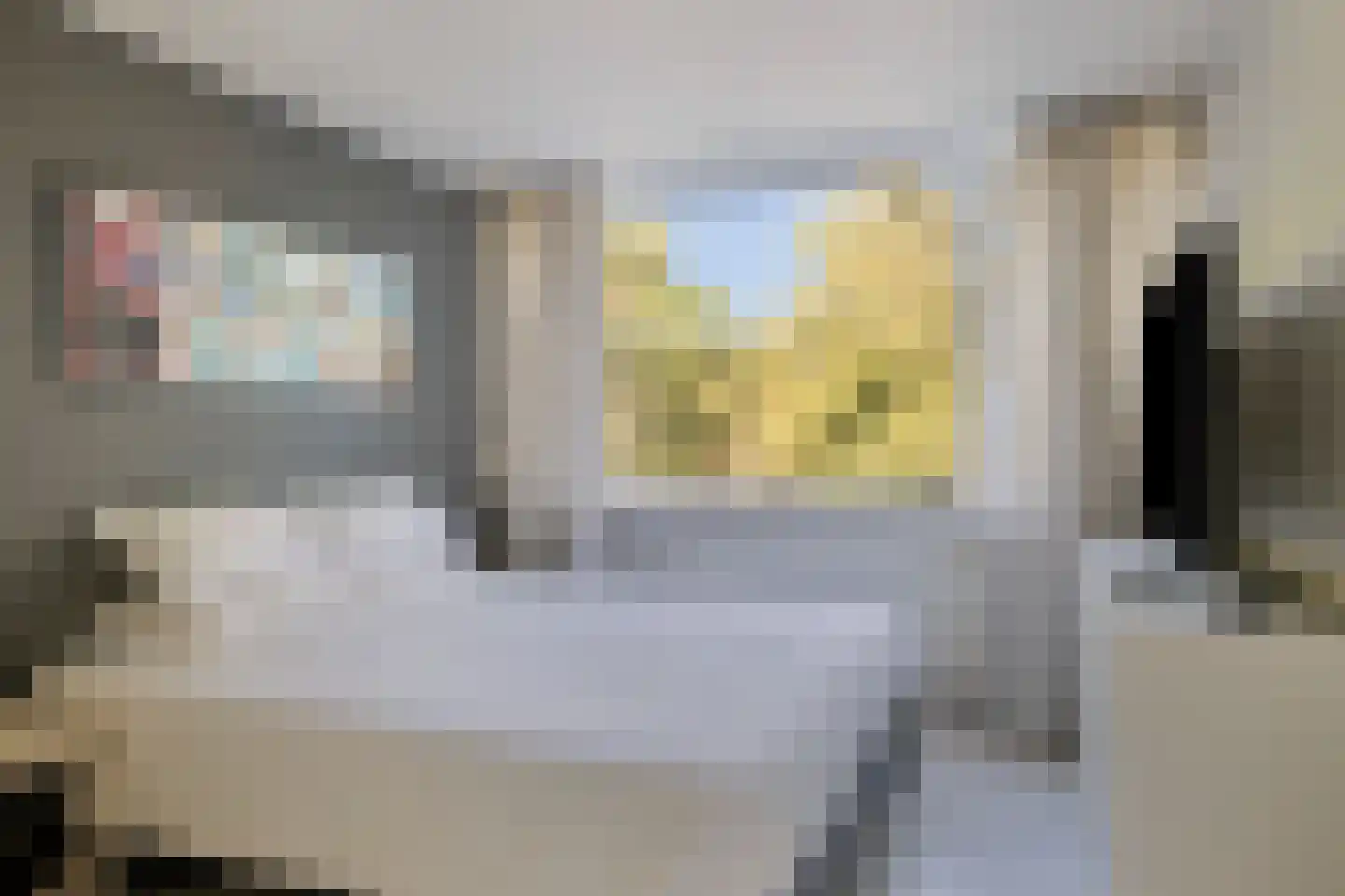 Bosdijklaan 13 Goes thumbnail 23