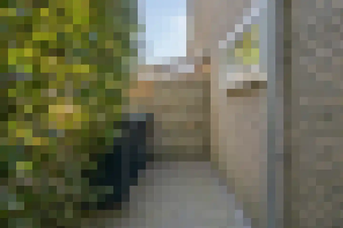 Bosdijklaan 13 Goes thumbnail 36