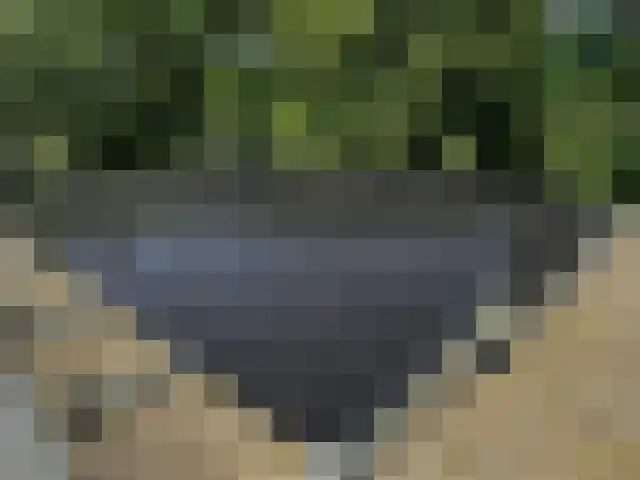 Bosdijklaan 13 Goes thumbnail 37