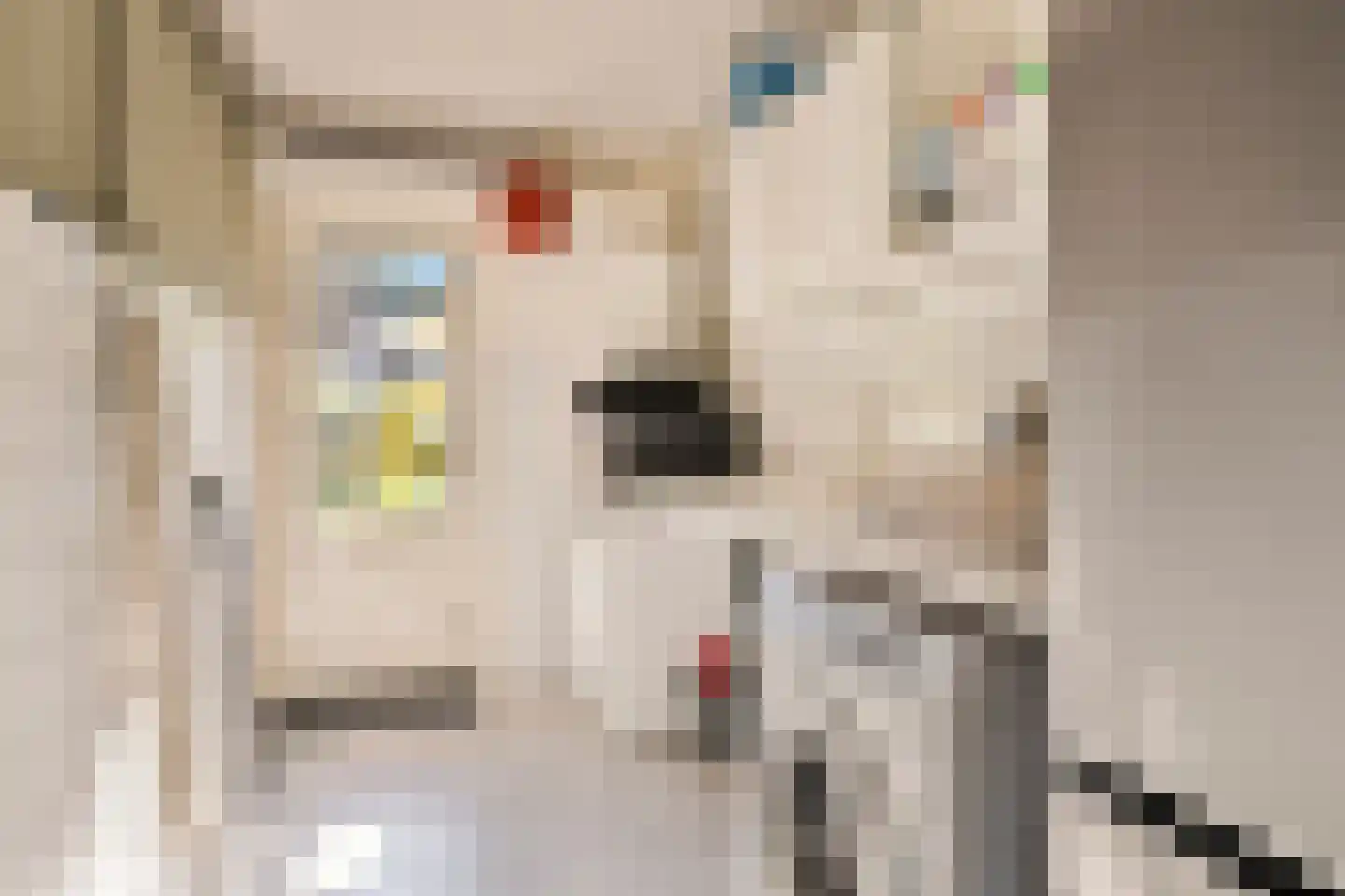 Bosdijklaan 13 Goes thumbnail 41