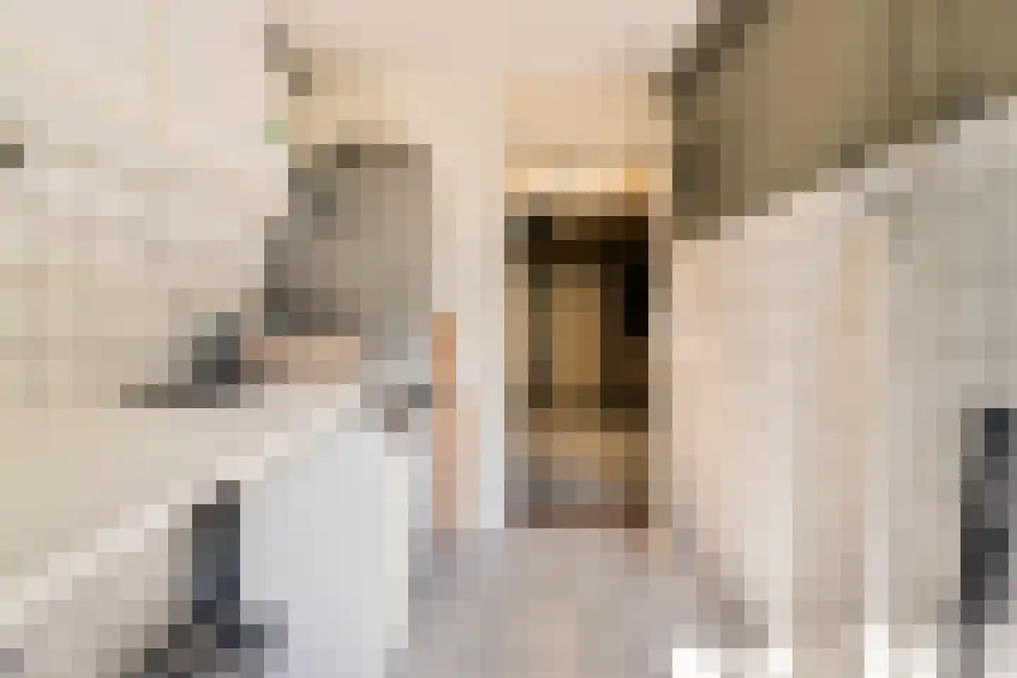 Bosdijklaan 13 Goes thumbnail 42
