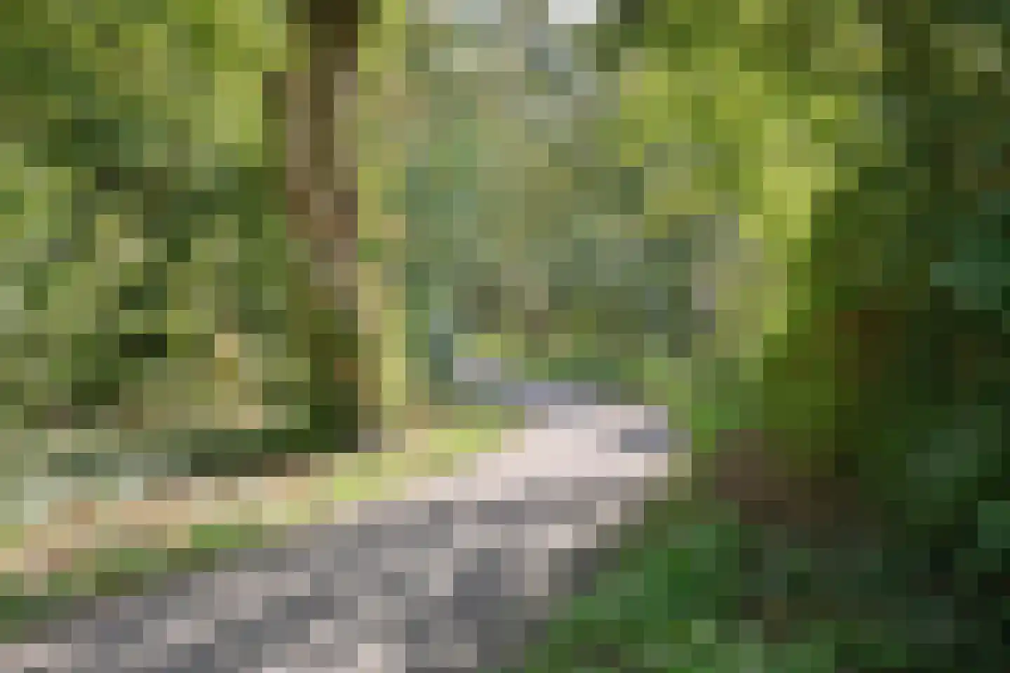 Bosdijklaan 13 Goes thumbnail 43