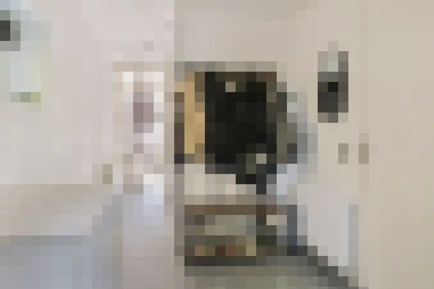Bosdijklaan 13 Goes thumbnail 5