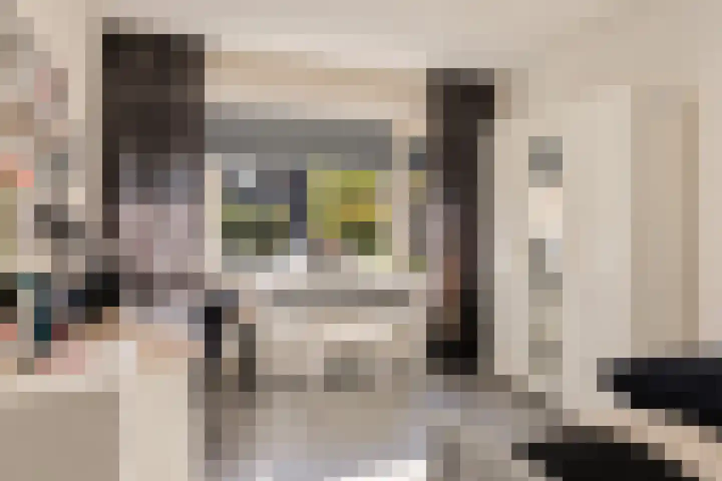 Bosdijklaan 13 Goes thumbnail 7