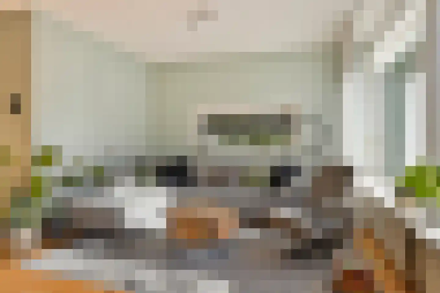 Bosdijklaan 13 Goes thumbnail 9