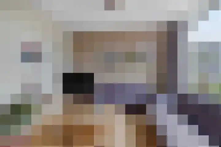 Bosdijklaan 29 Goes thumbnail 13