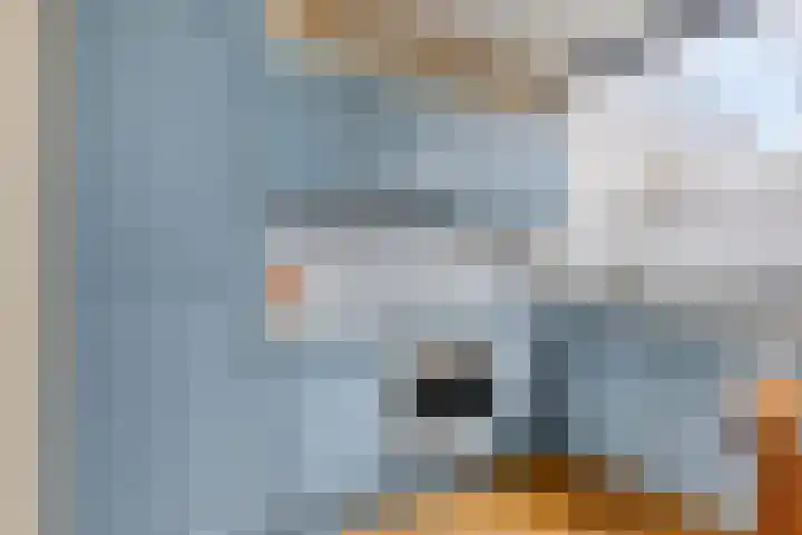 Bosdijklaan 29 Goes thumbnail 19