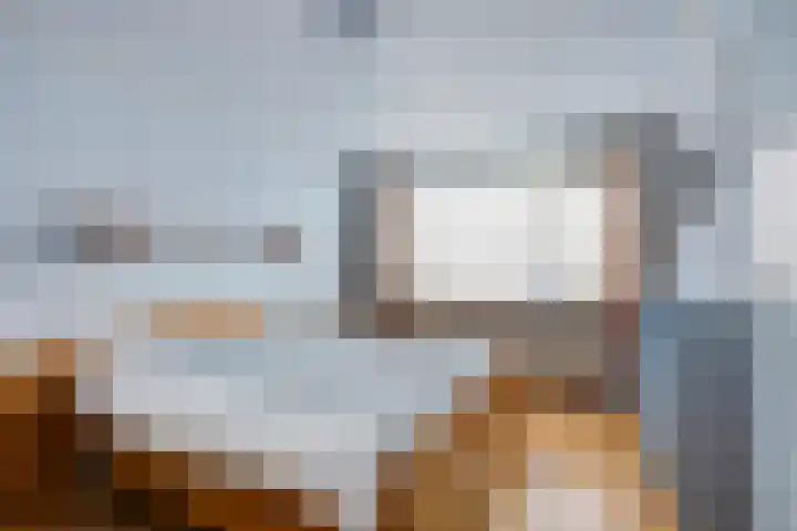 Bosdijklaan 29 Goes thumbnail 21