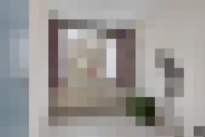 Bosdijklaan 29 Goes thumbnail 27