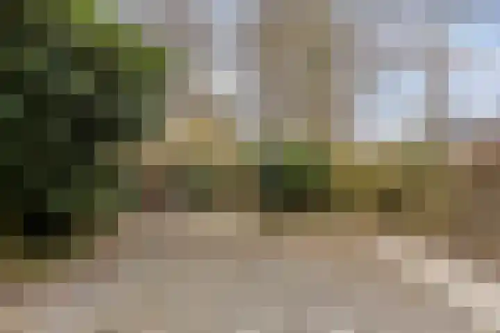 Bosdijklaan 29 Goes thumbnail 32
