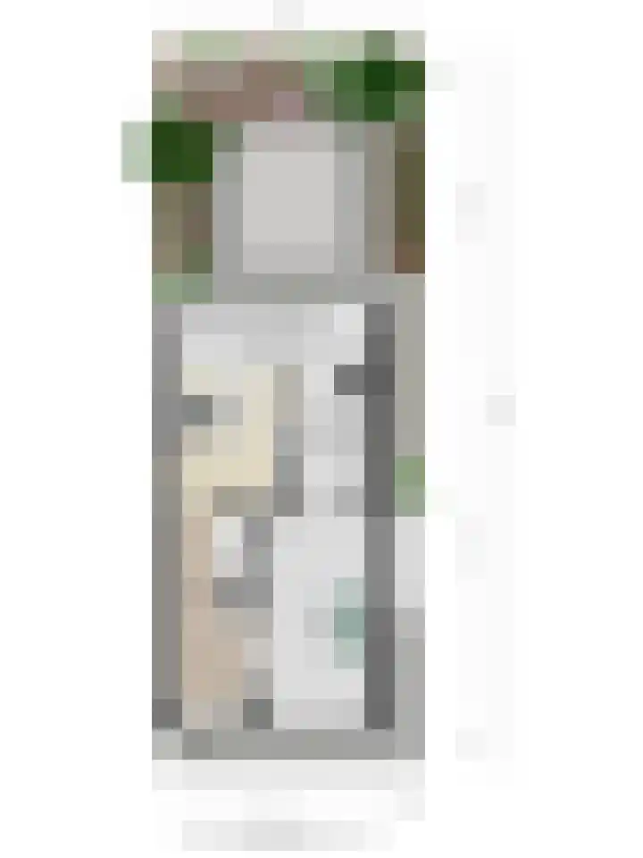Bosdijklaan 29 Goes thumbnail 45
