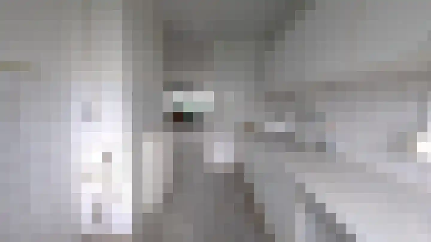 Bosdreef 27 Leiderdorp thumbnail 15