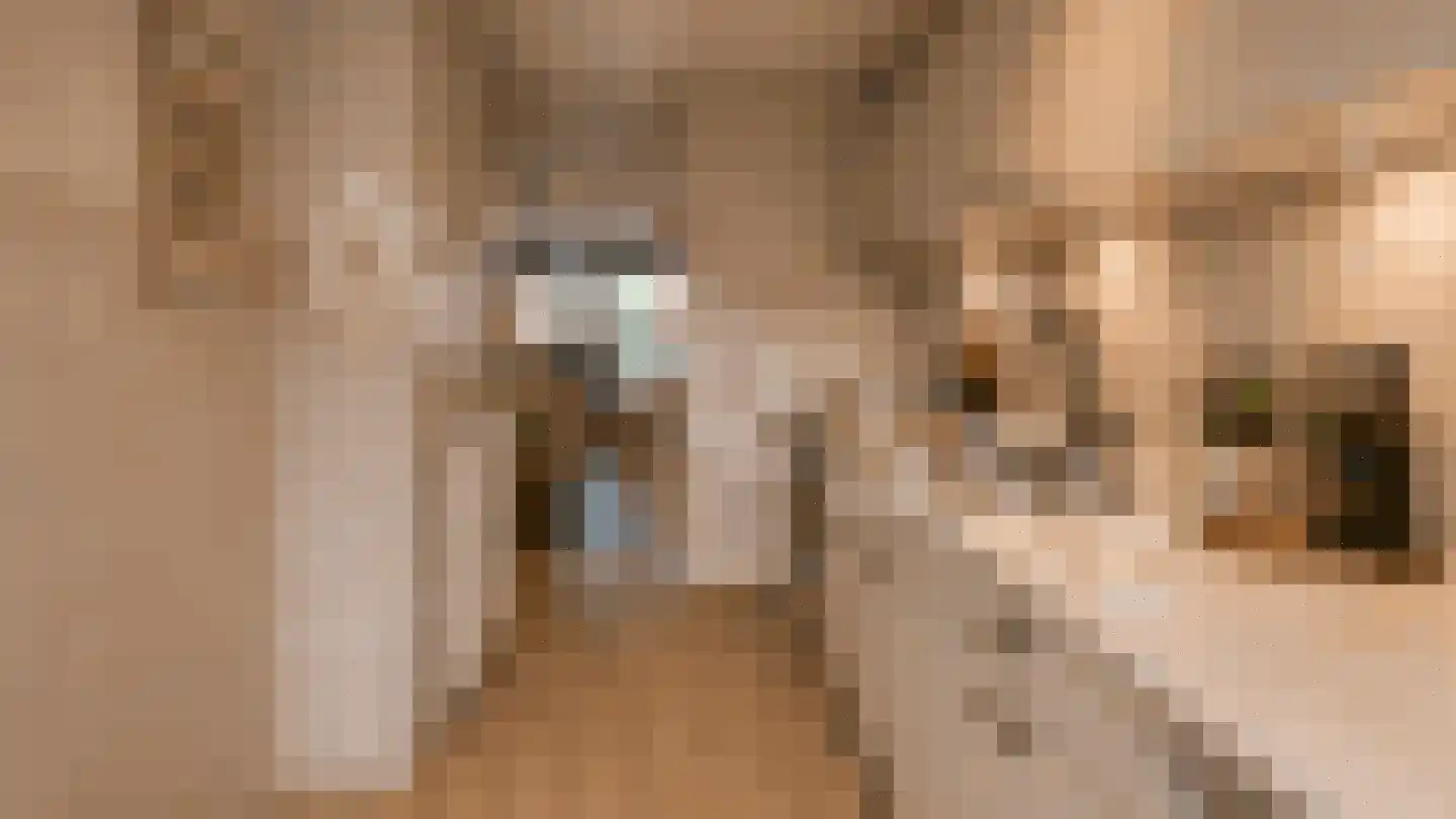 Bosdreef 27 Leiderdorp thumbnail 16