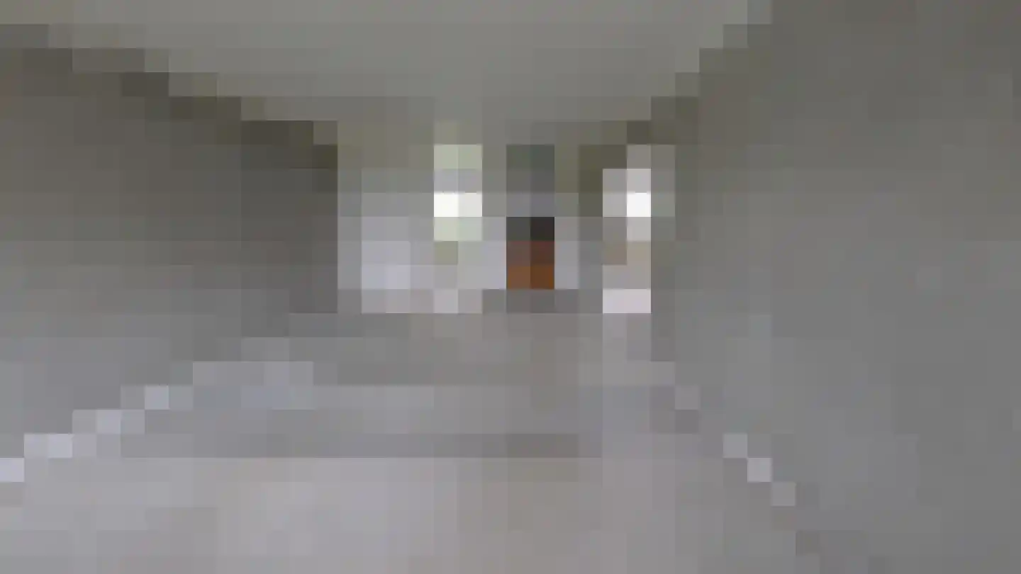 Bosdreef 27 Leiderdorp thumbnail 20