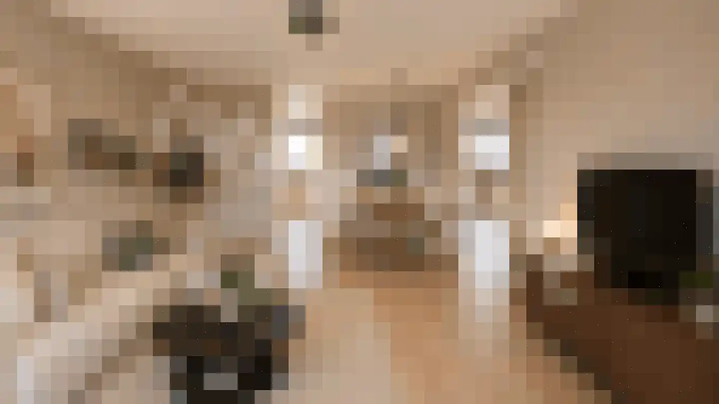 Bosdreef 27 Leiderdorp thumbnail 21