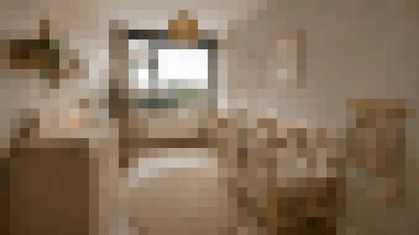 Bosdreef 27 Leiderdorp thumbnail 26