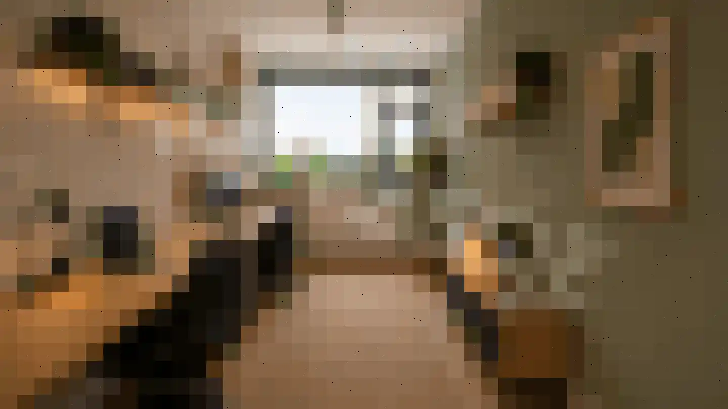 Bosdreef 27 Leiderdorp thumbnail 30