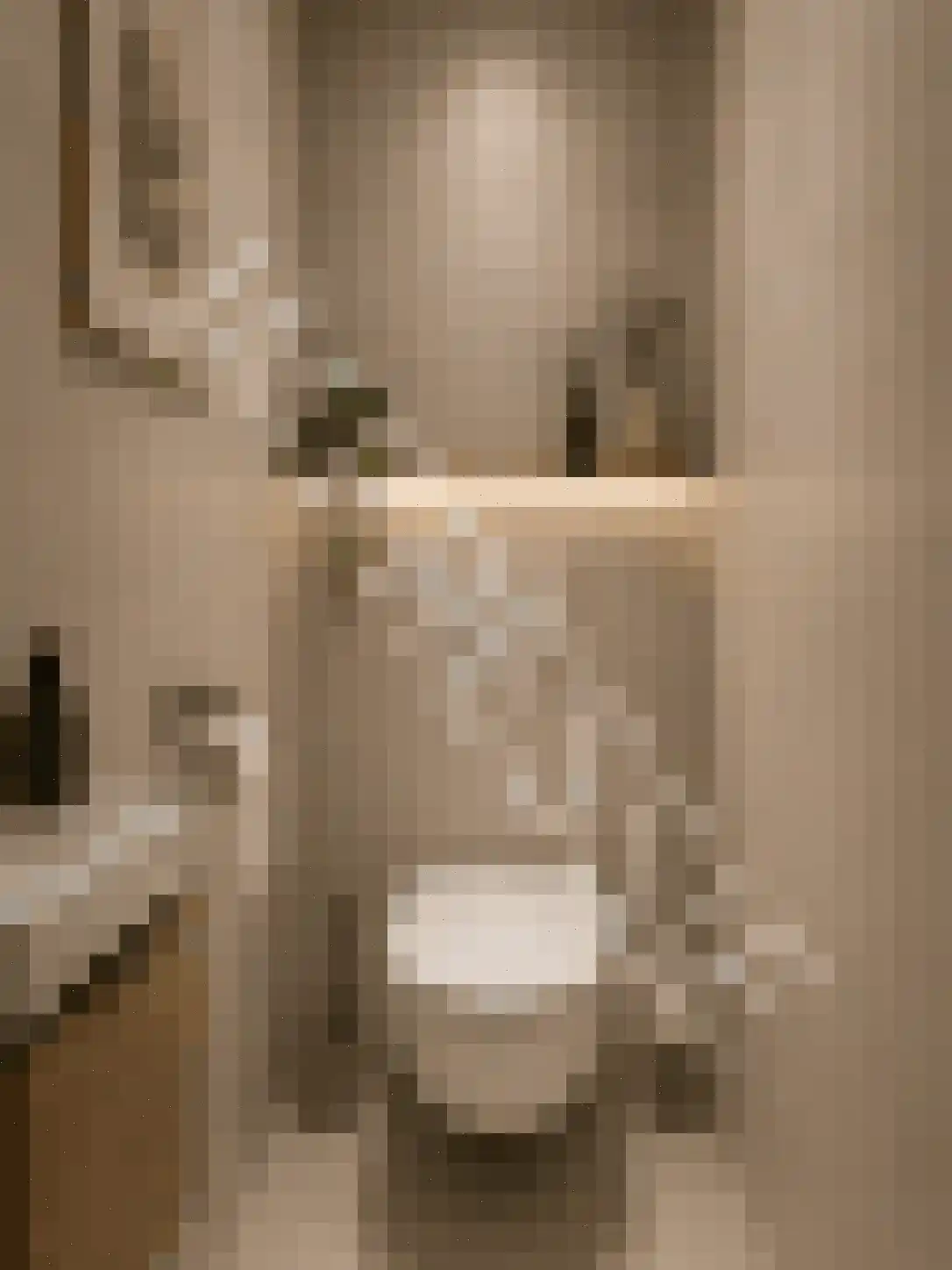 Bosdreef 27 Leiderdorp thumbnail 34
