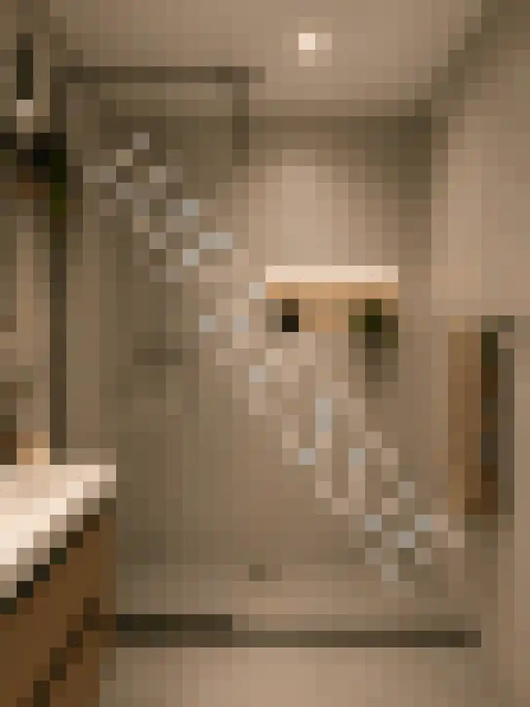Bosdreef 27 Leiderdorp thumbnail 38