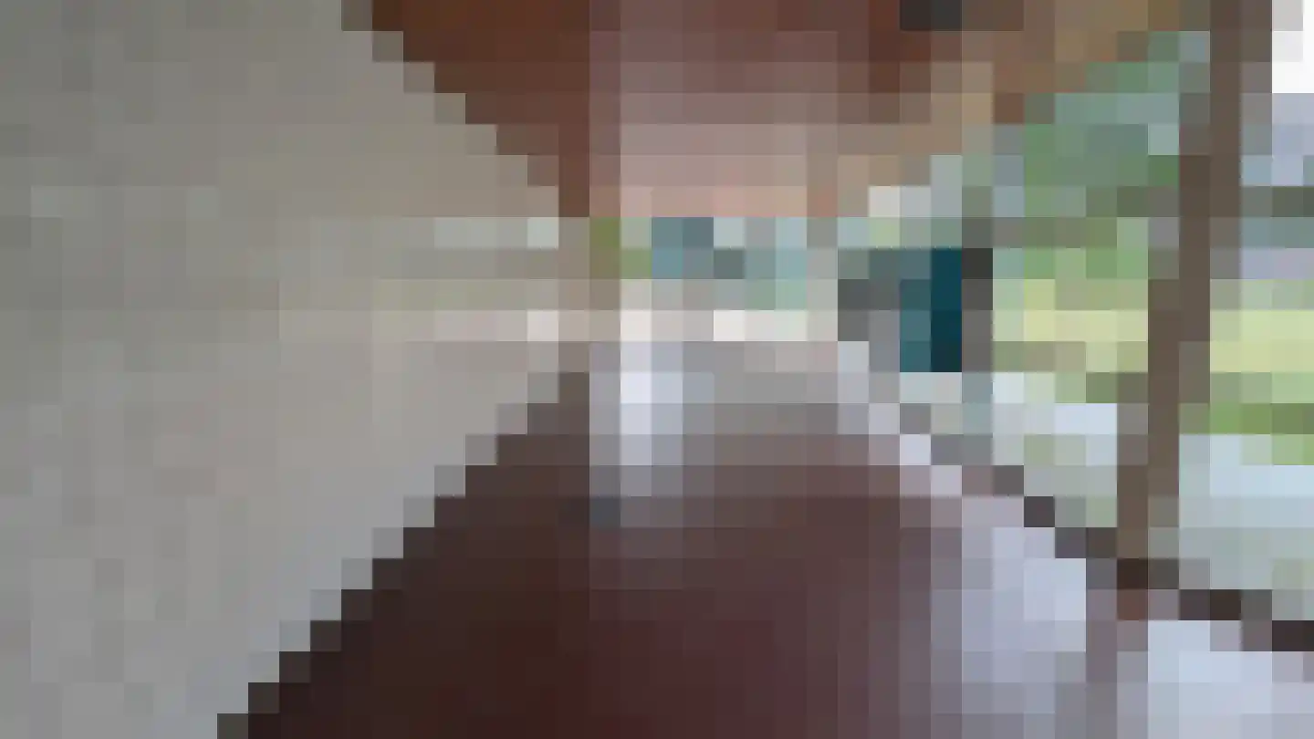 Bosdreef 27 Leiderdorp thumbnail 4