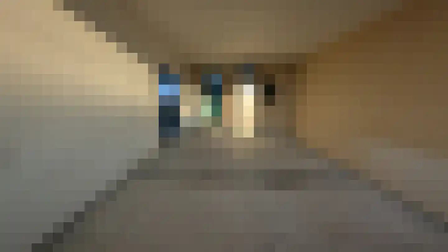 Bosdreef 32 Leiderdorp thumbnail 13