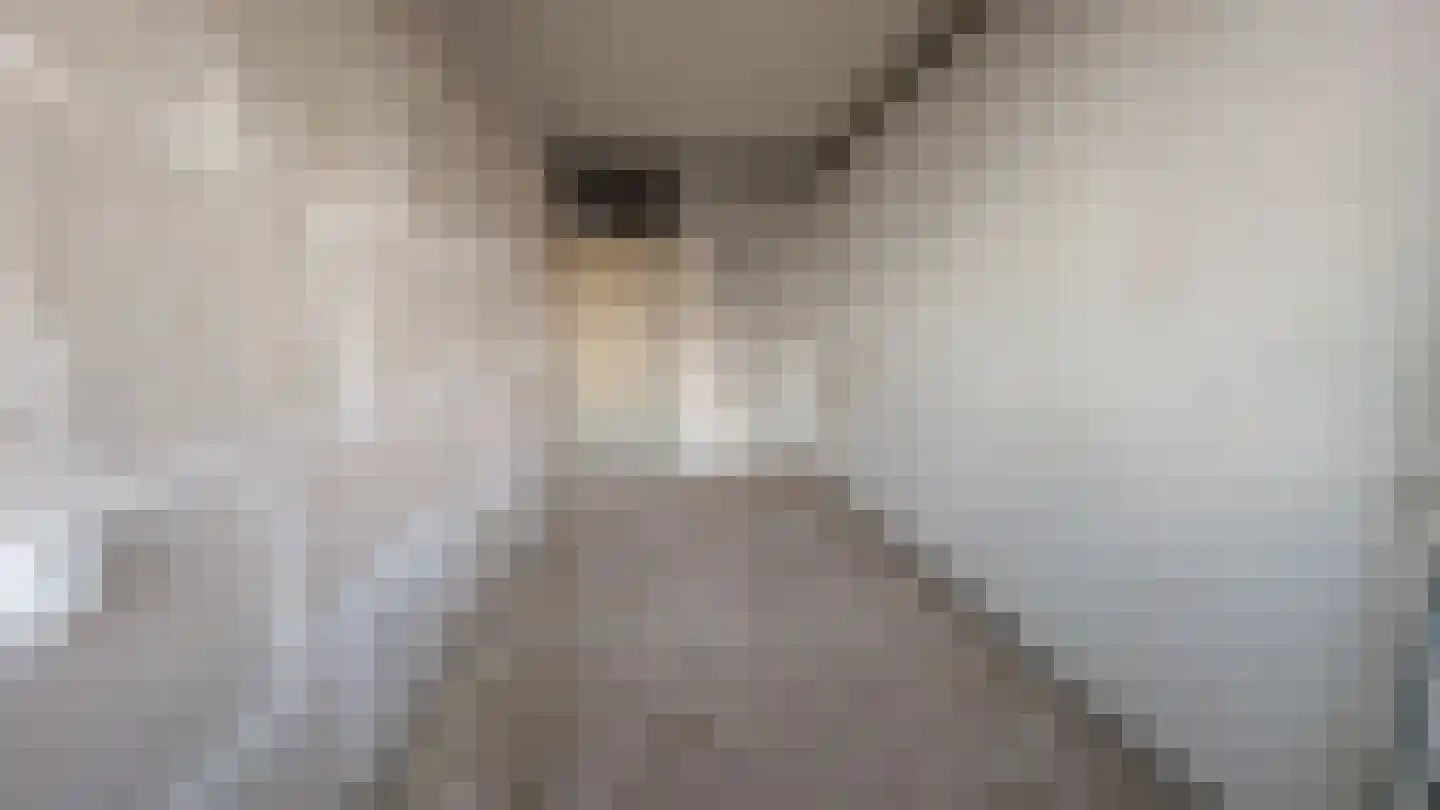 Bosdreef 32 Leiderdorp thumbnail 24