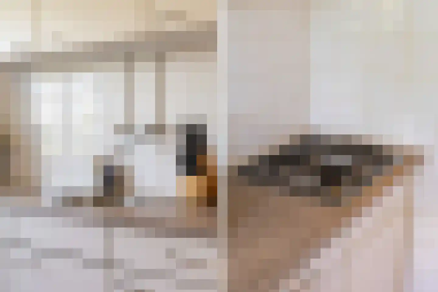 Bosdreef 40 Leiderdorp thumbnail 15