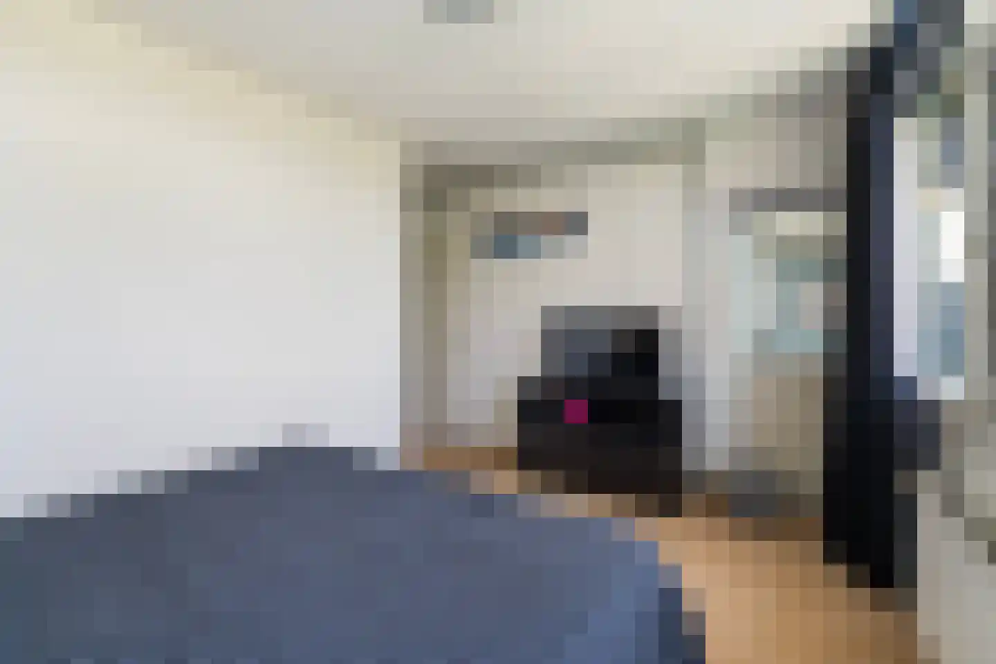Bosdreef 40 Leiderdorp thumbnail 18