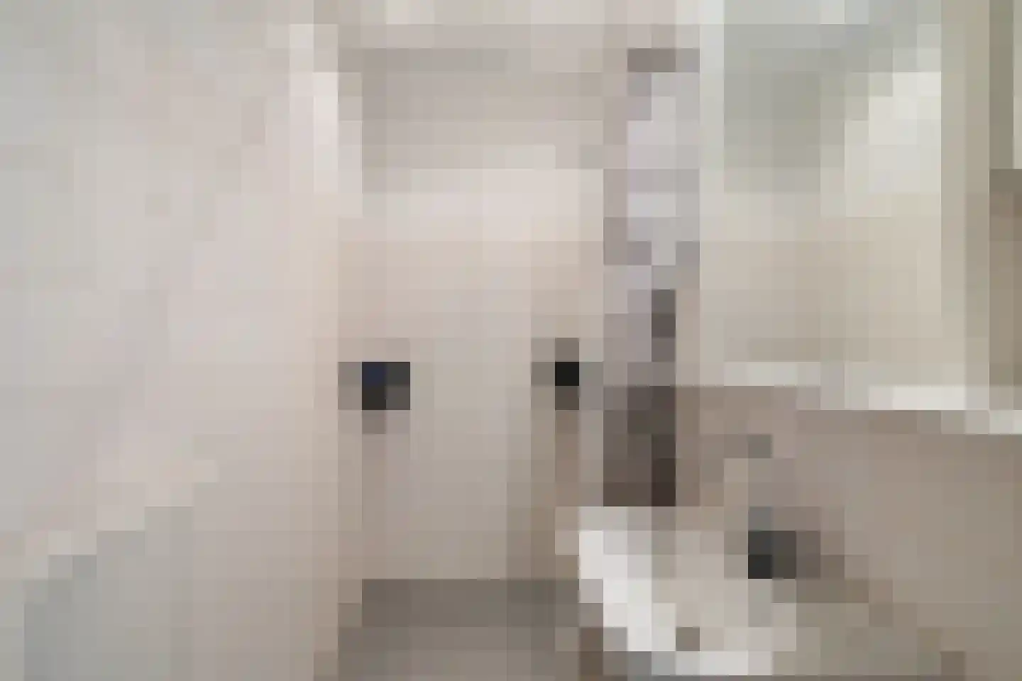Bosdreef 40 Leiderdorp thumbnail 20
