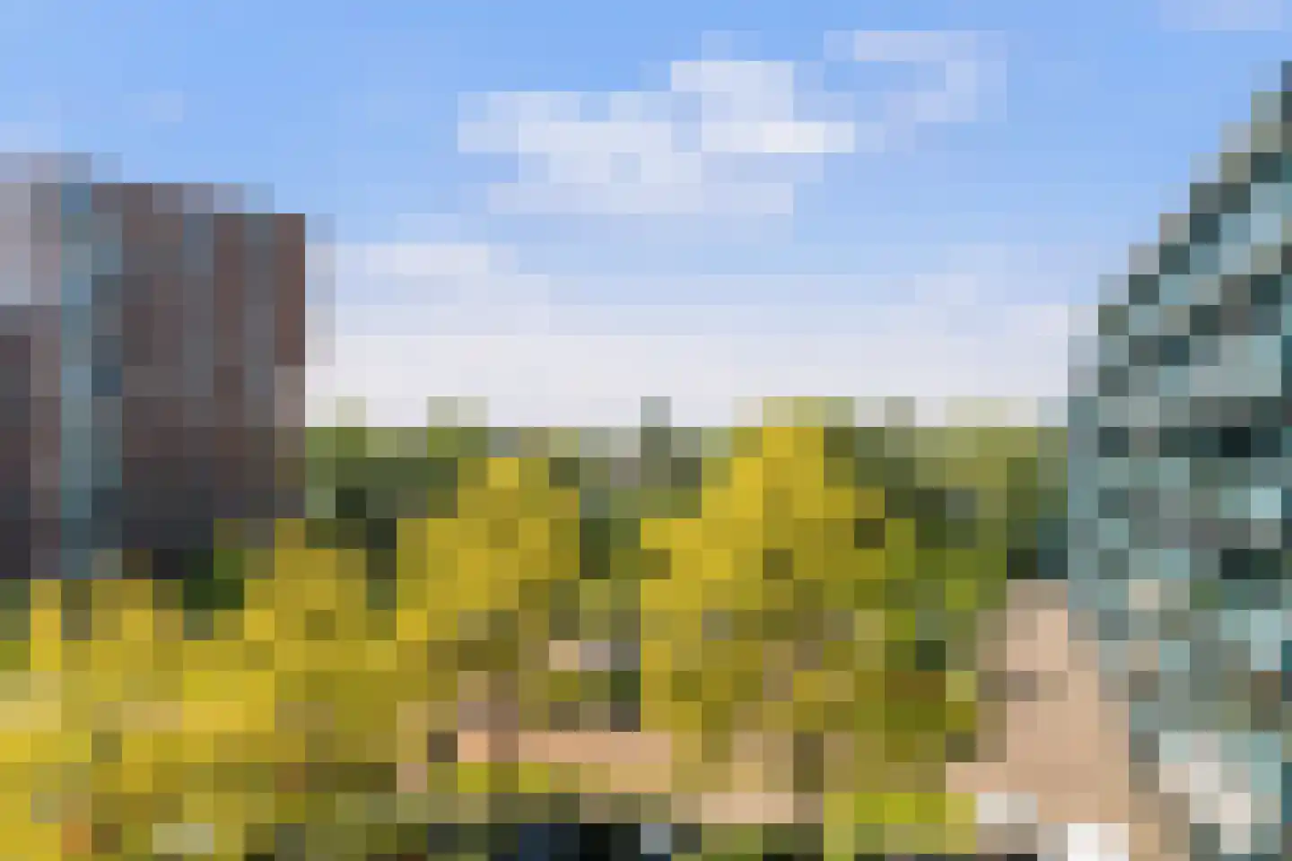 Bosdreef 40 Leiderdorp thumbnail 24