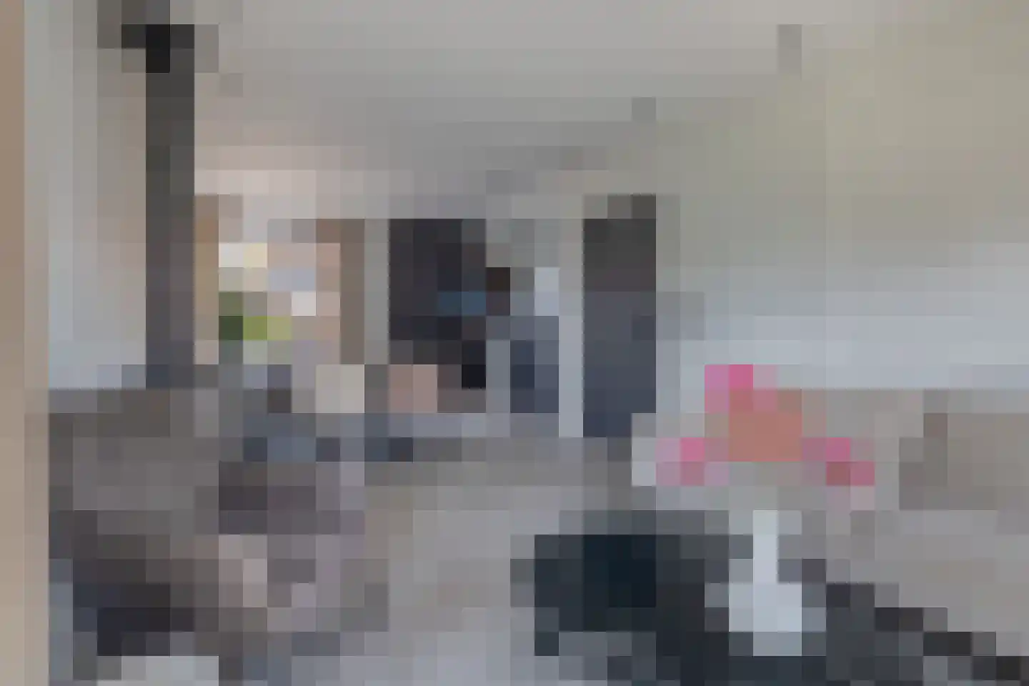 Bosdreef 42 Dirksland thumbnail 10
