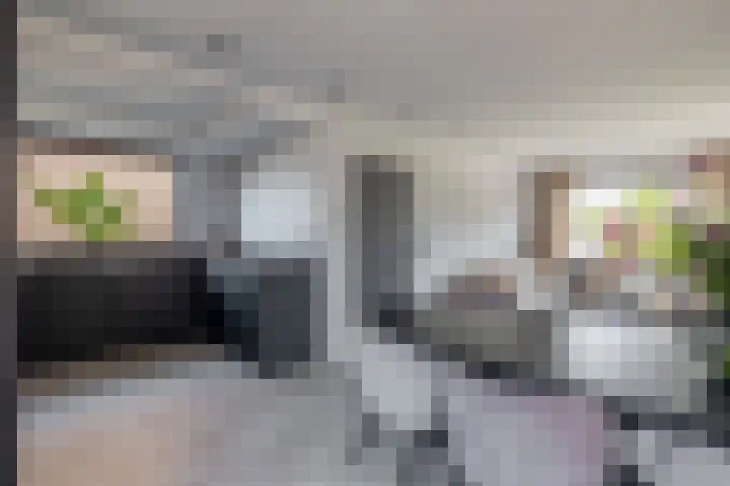 Bosdreef 42 Dirksland thumbnail 13
