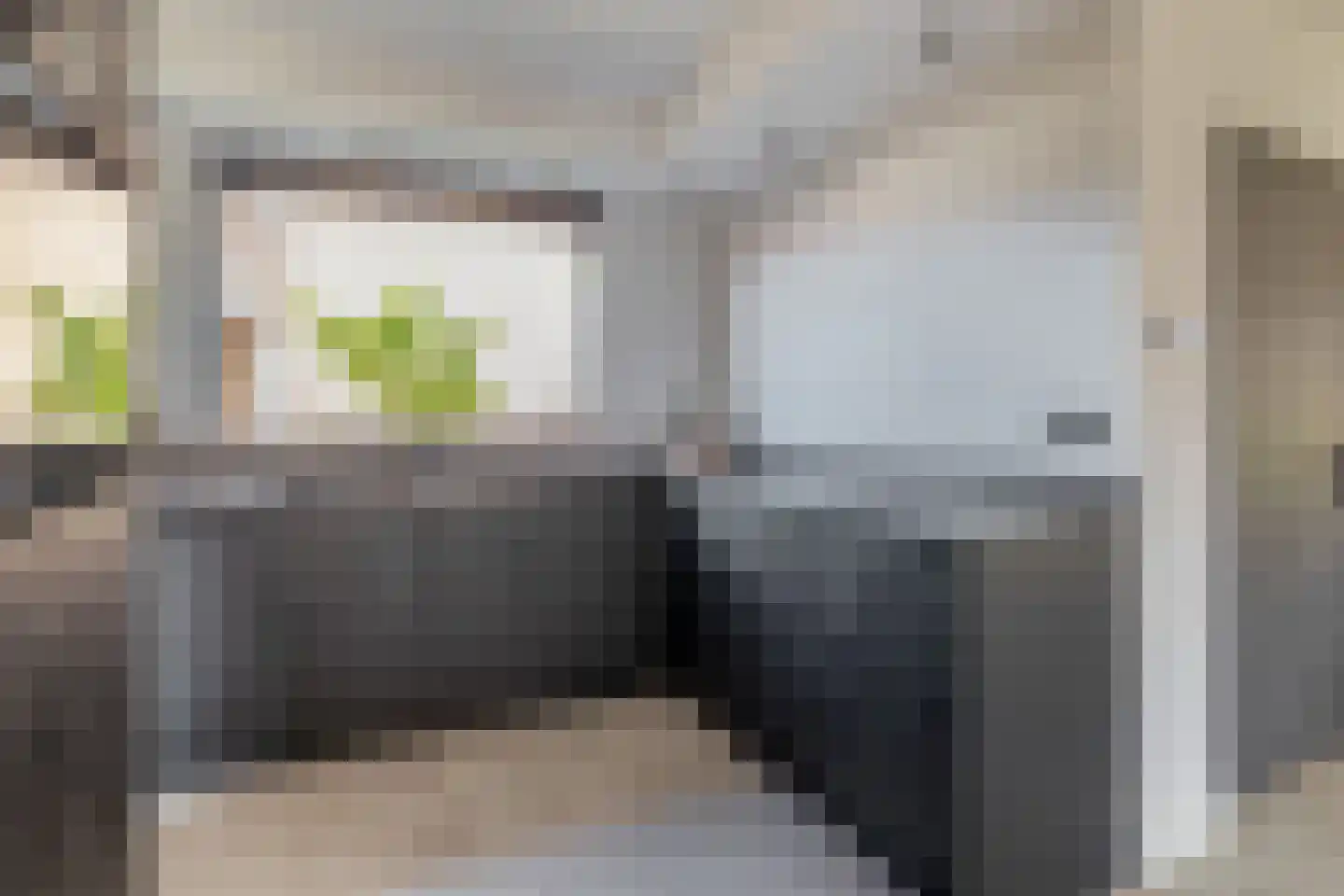 Bosdreef 42 Dirksland thumbnail 15