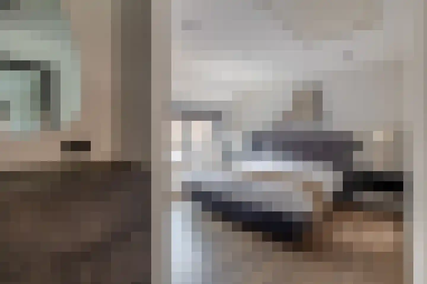 Bosdreef 42 Dirksland thumbnail 21