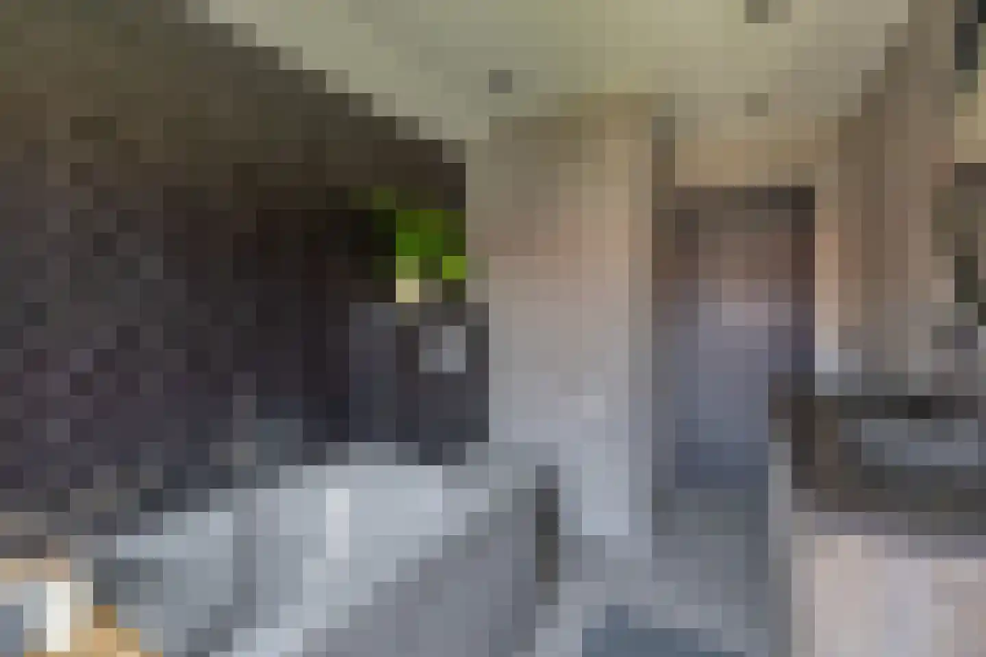 Bosdreef 42 Dirksland thumbnail 27