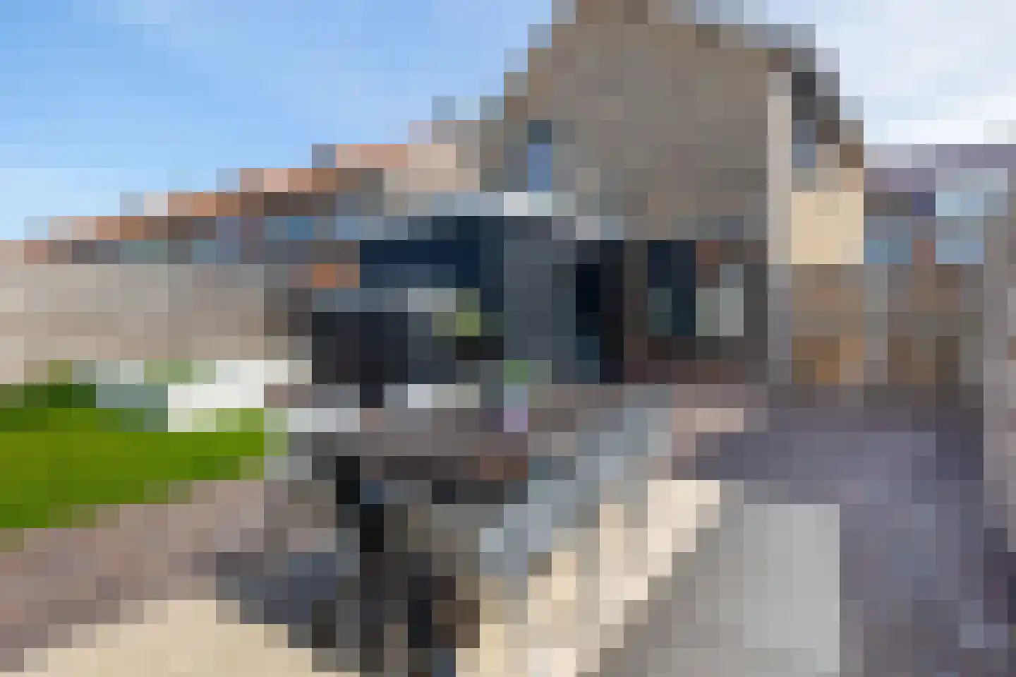 Bosdreef 42 Dirksland thumbnail 29